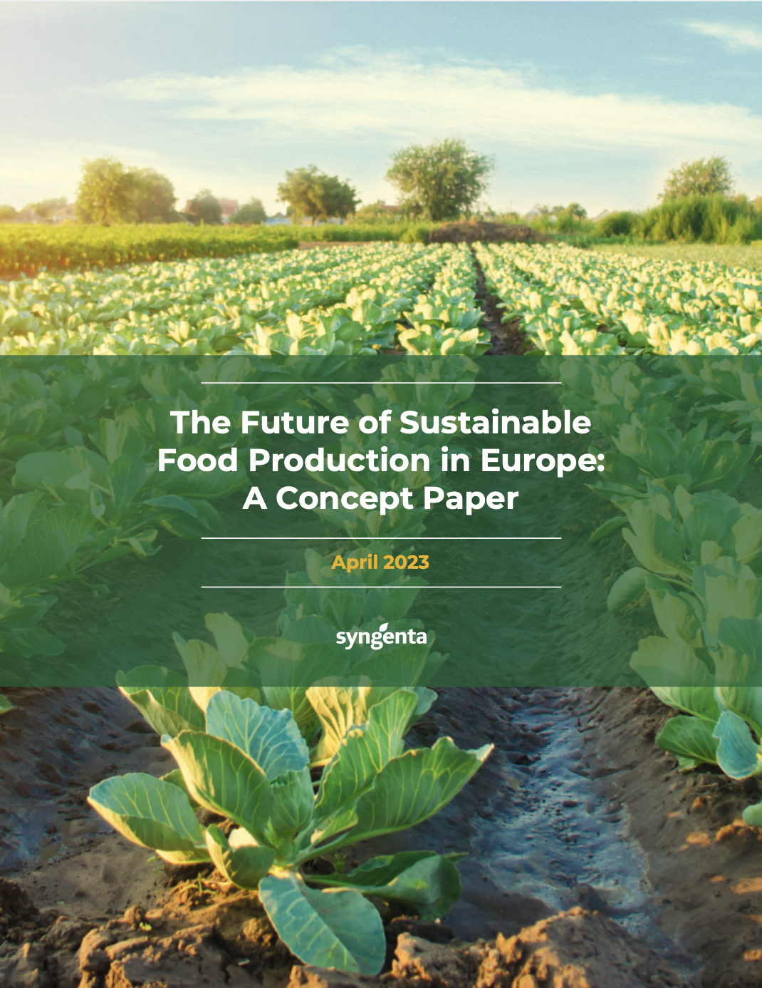 The Future of Sustainable Food Production in Europe