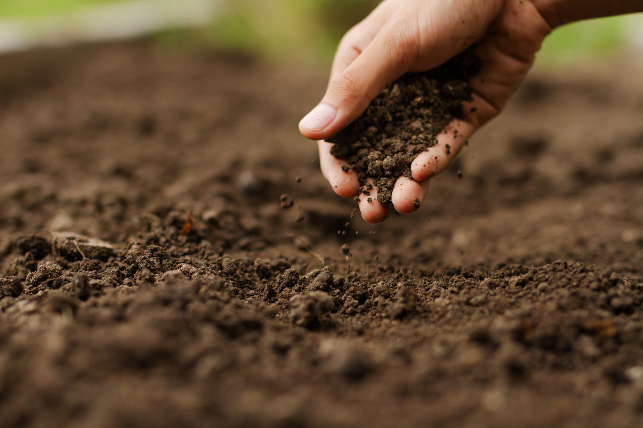 soil-health-before-planting-vegetable-seeds