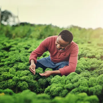 farmer