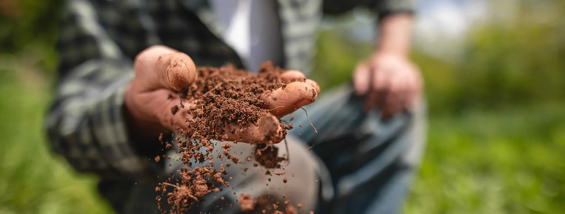 Man Examining Soil