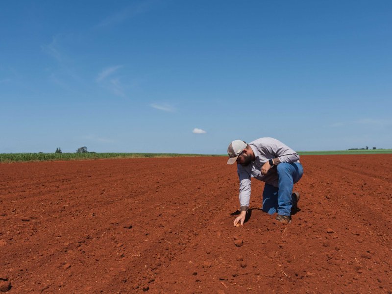 Agronomist analyzing soil planted with potatoes in São Paulo State, Brazil.jpg