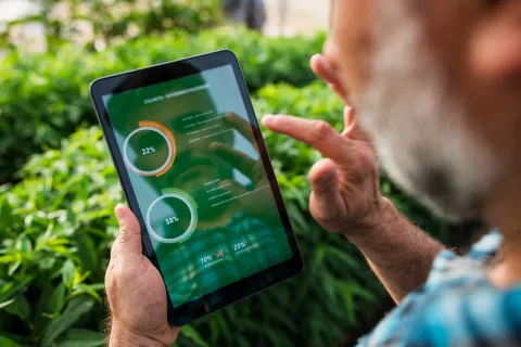 A farmer uses a tablet to analyze crop data outdoors