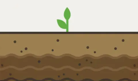 soil ilustration