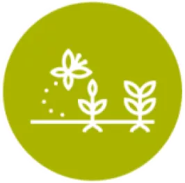 Syngenta Priority 1 Icon 1.png