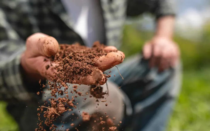 Man Examining Soil