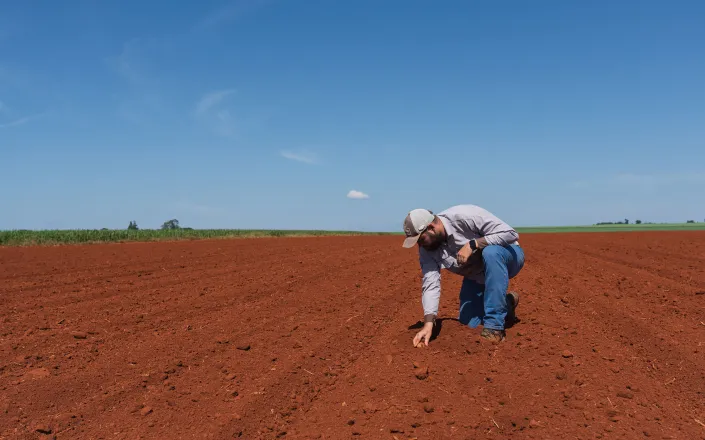 Agronomist analyzing soil planted with potatoes in São Paulo State, Brazil.jpg