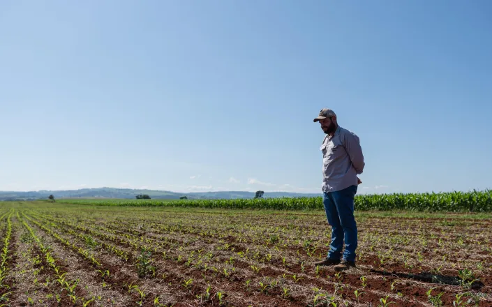 Agronomist in a cornfield in Brazil