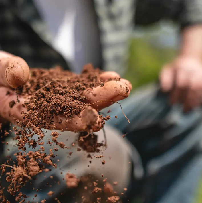 Man Examining Soil