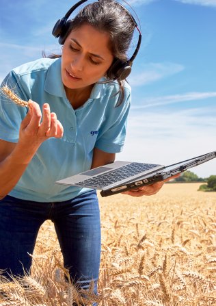 Woman in wheat field using tablet