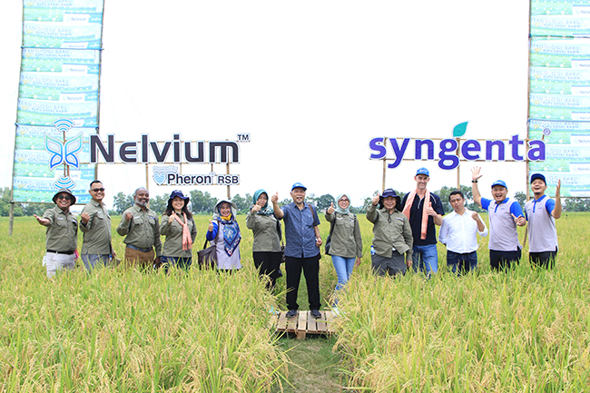 syngenta-sdg-matrix-2020-1.jpg